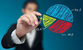 電商操盤手如何匹配電子商務(wù)技術(shù) 精準(zhǔn)選擇指南